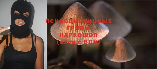 бошки Алзамай