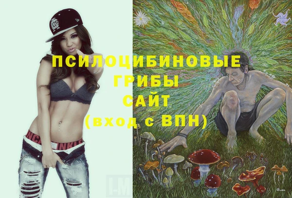 прущая мука Алексин