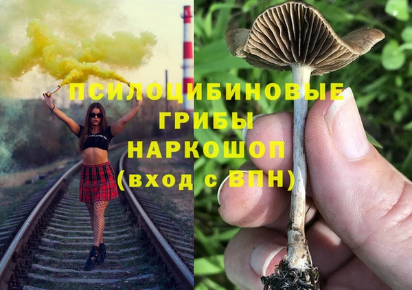 бошки Алзамай